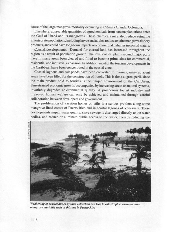 Mangroves of the wider Caribbean - aus dem Buch